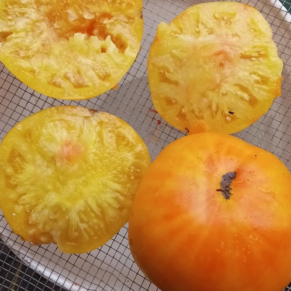 Hensley Settlement Heirloom Tomato (30 Seeds)