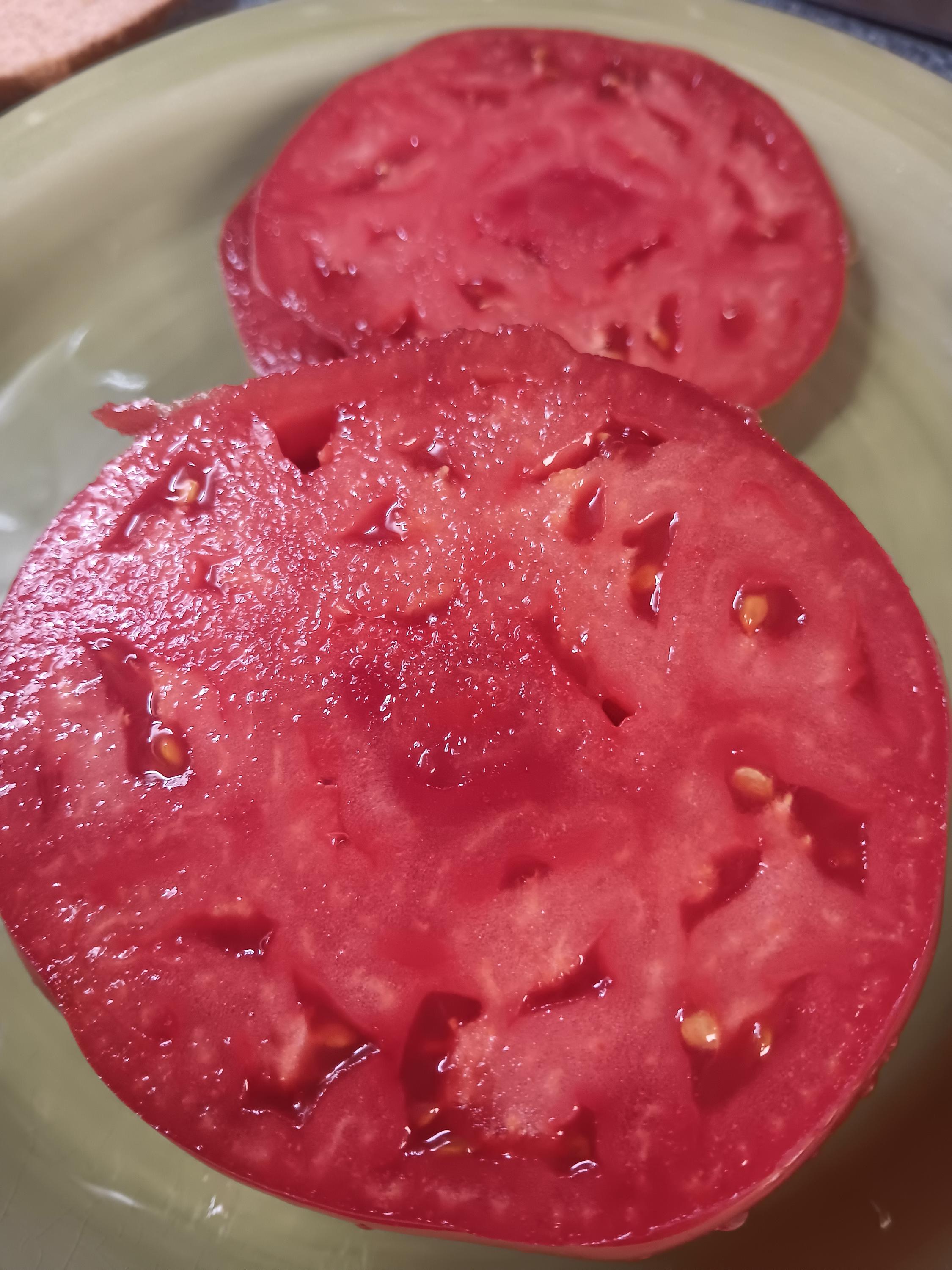 Mountaineer Delight Tomato Seeds - Etsy Mountaineer Delight Tomato Seeds - Etsy