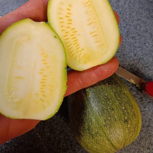 Peut inclure: Une courgette coupée en deux révèle un intérieur jaune pâle avec des graines visibles, à côté d'une courgette entière à l'extérieur vert foncé. Les bords coupés montrent une peau vert vif. Un petit couteau à manche rouge est en arrière-plan.