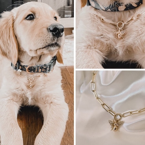 Personalized Ivory Pearl Necklace for Dogs and Cats With | Etsy