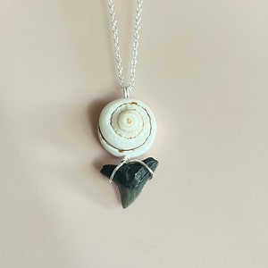 Shark tooth jewelry