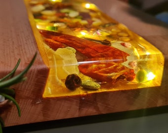 Cutting board SpiceBoard unique, purely handmade from beech wood with epoxy resin strip, LED fairy lights and spices