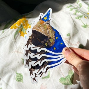 Wizard Frog Sticker | Original Watercolor Vinyl Sticker | Glossy Water ...