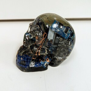 May include: A clear resin skull filled with various blue and green circuit boards. The skull is a decorative object.