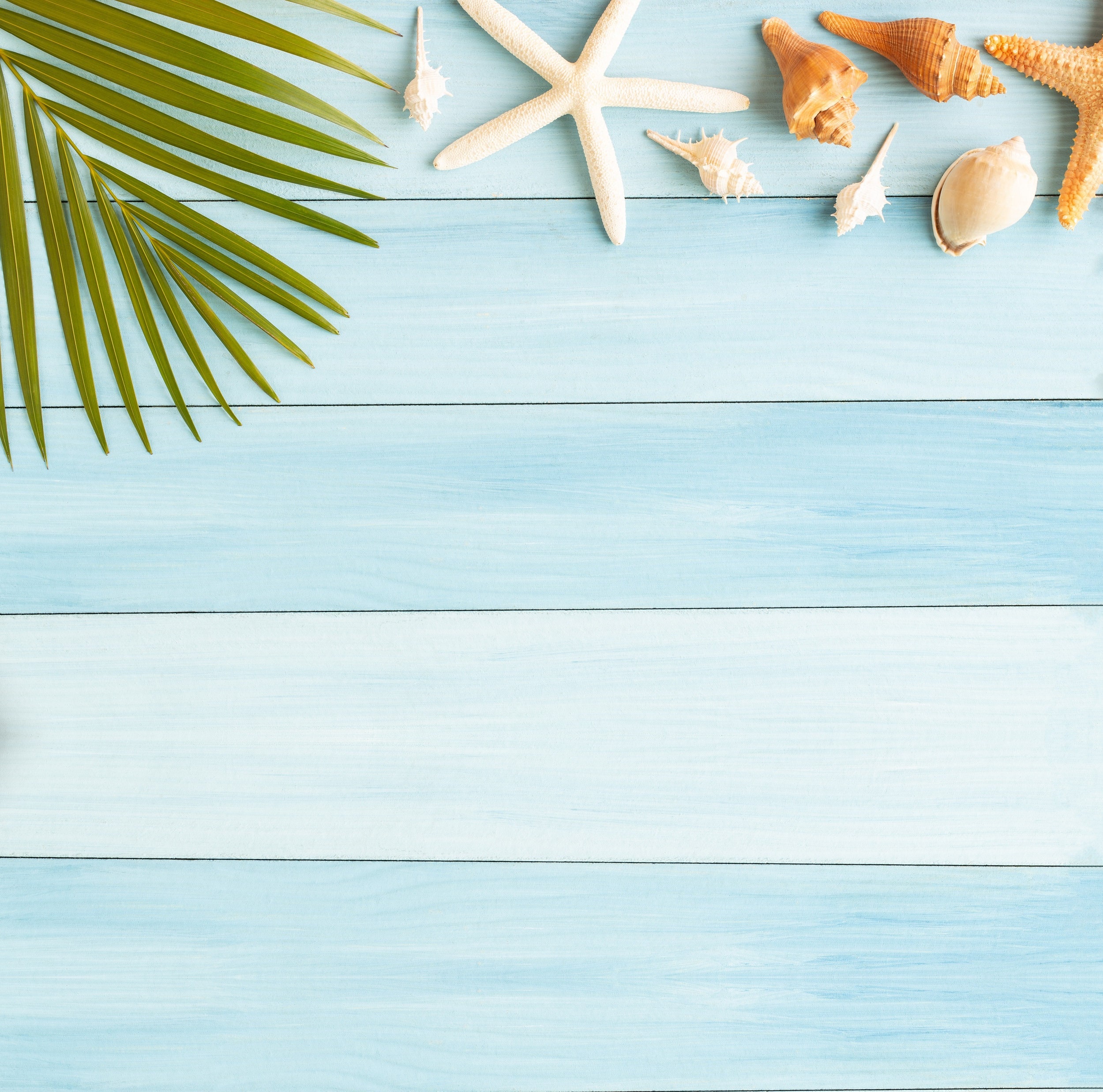 Summer wooden background for photos flexible washable vinyl | Etsy