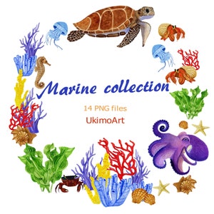May include: A watercolor illustration of a marine collection with a sea turtle, octopus, seahorse, jellyfish, starfish, coral, and seashells. The illustration is surrounded by a circle of text that reads "Marine collection 14 PNG files UkimoArt".