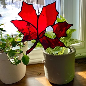 Ahornblatt MUSTER Love Canada Motiv. Herz mit in einem kanadischen Blatt.
