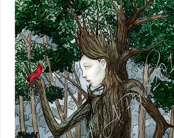 Cardenal de Lady Summertree