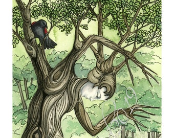 El nuevo brote de Lady Springtree