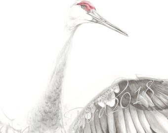 Crane