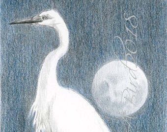 Luna de garceta
