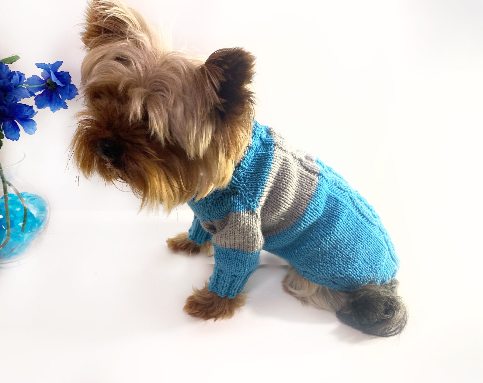 Dog sweater xxs dog clothes boy / XS dog sweater / Chihuahua Etsy