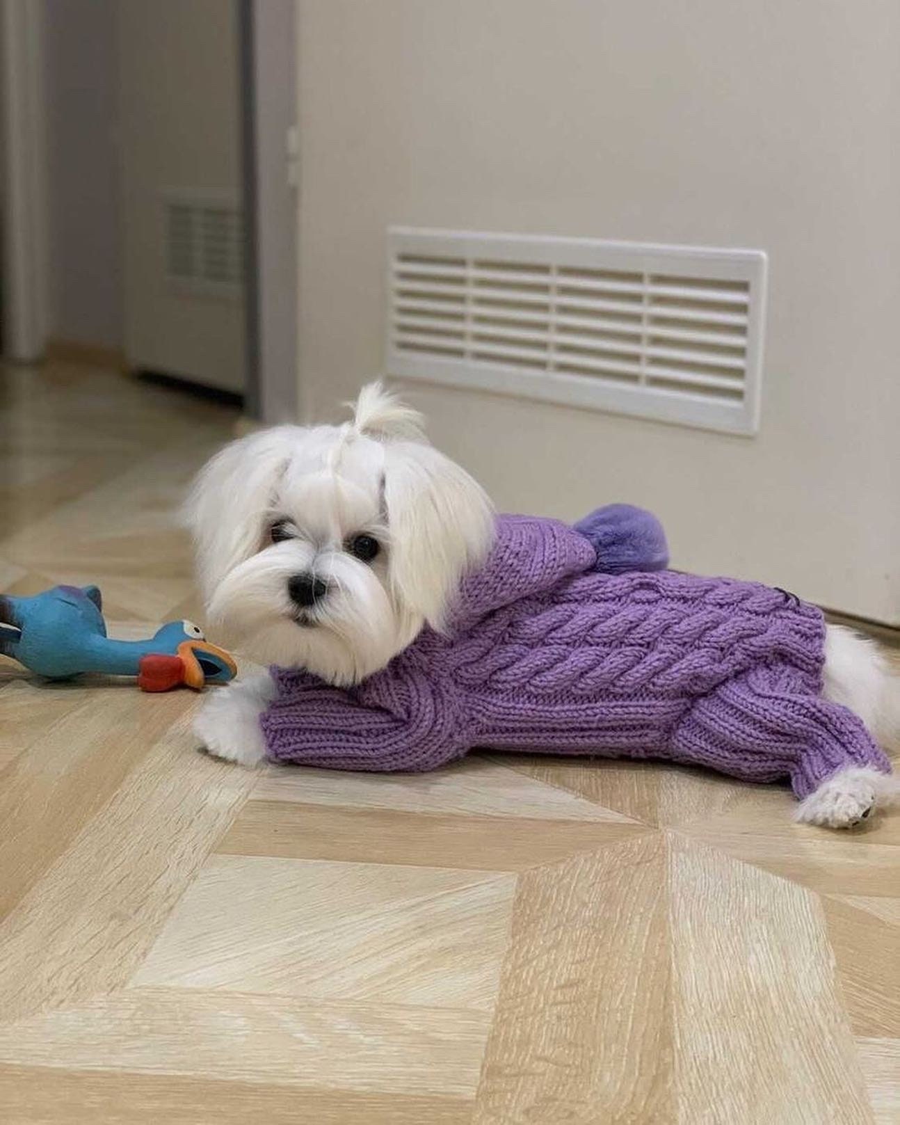 Xs Dog Clothes Puppy Clothes Hoodie Sweater Knit / Yorkie Etsy UK