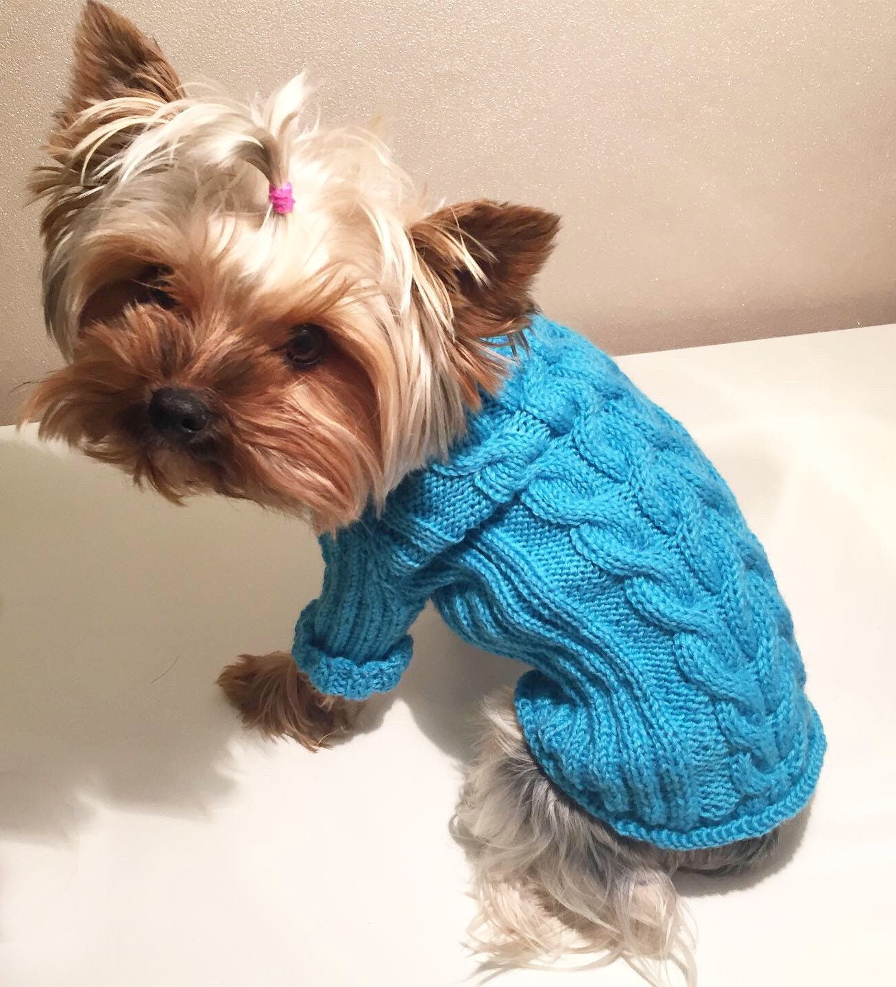 Dog Clothes Boy XS Dog Sweater / Chihuahua Clothes Yorkie Etsy