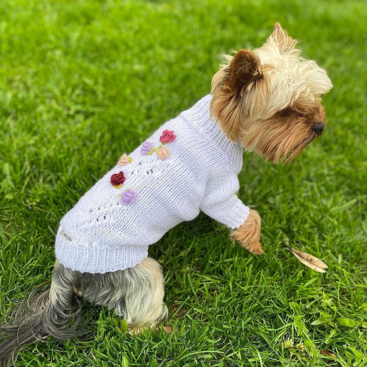 Dog Clothes Girl Xs Dog Sweater for Small Dogs /floral Etsy