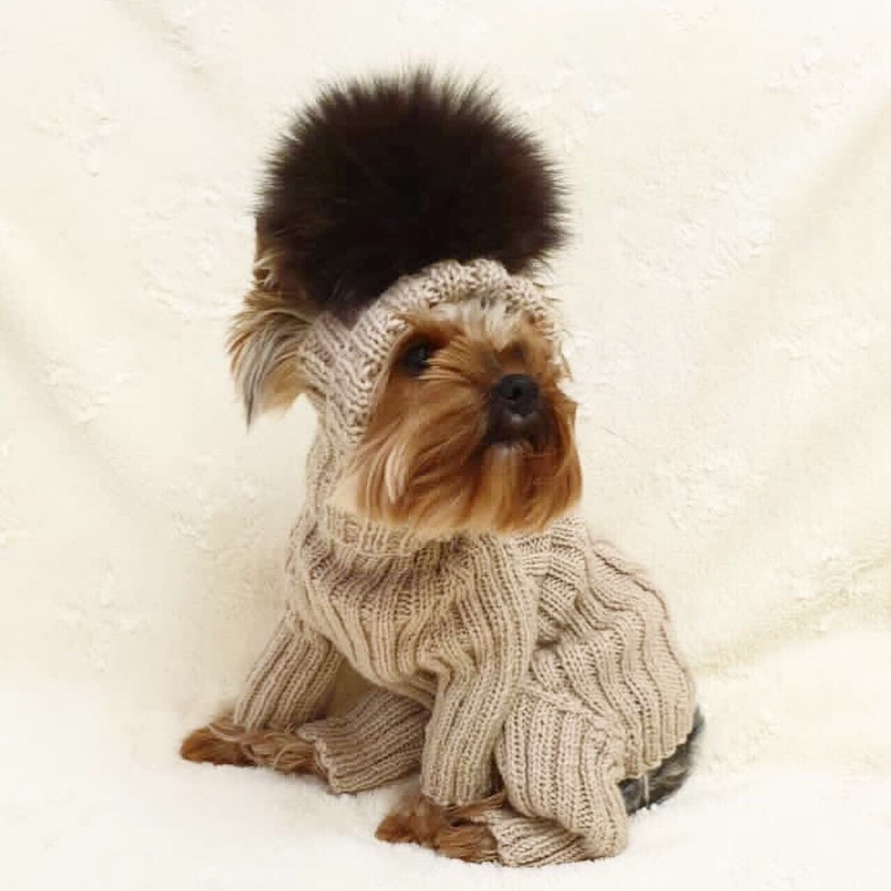 Girl dog clothes hand knit dog sweater and dog hats for Etsy