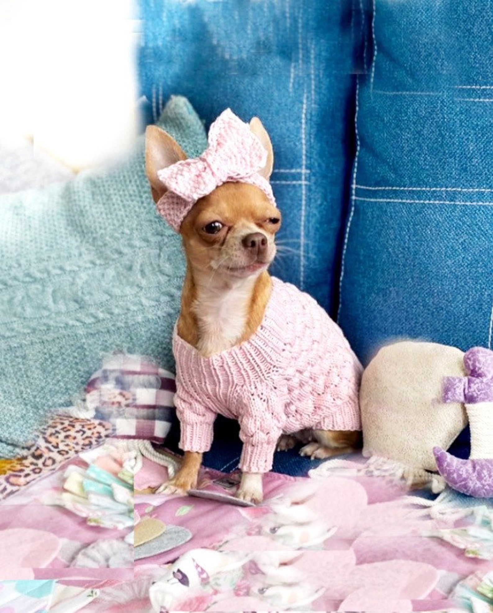 Chihuahua clothes girl SET dog sweater for small dog and dog Etsy