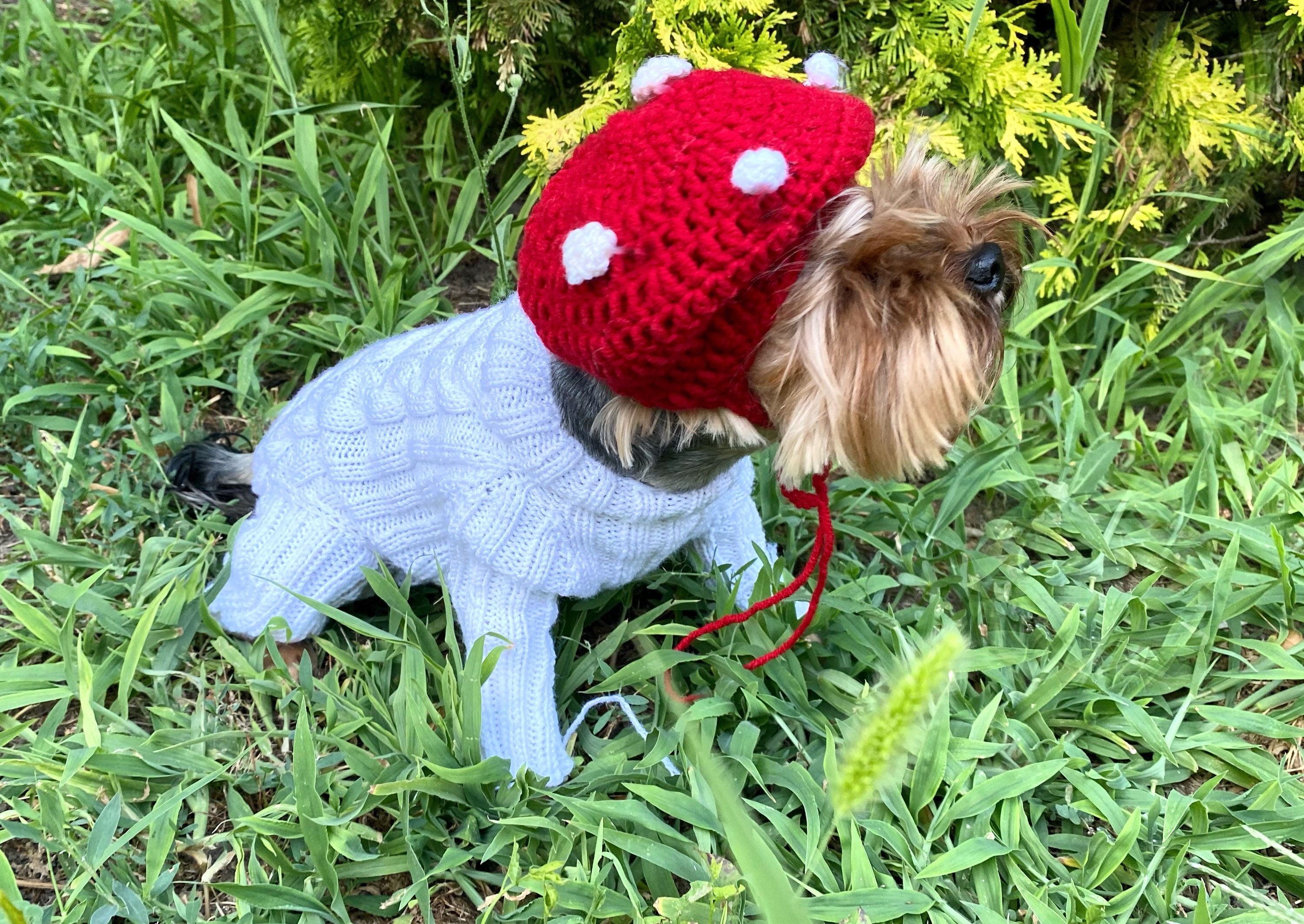 Mushroom hat Mushroom dog hat owner and dog matching / Dog Etsy