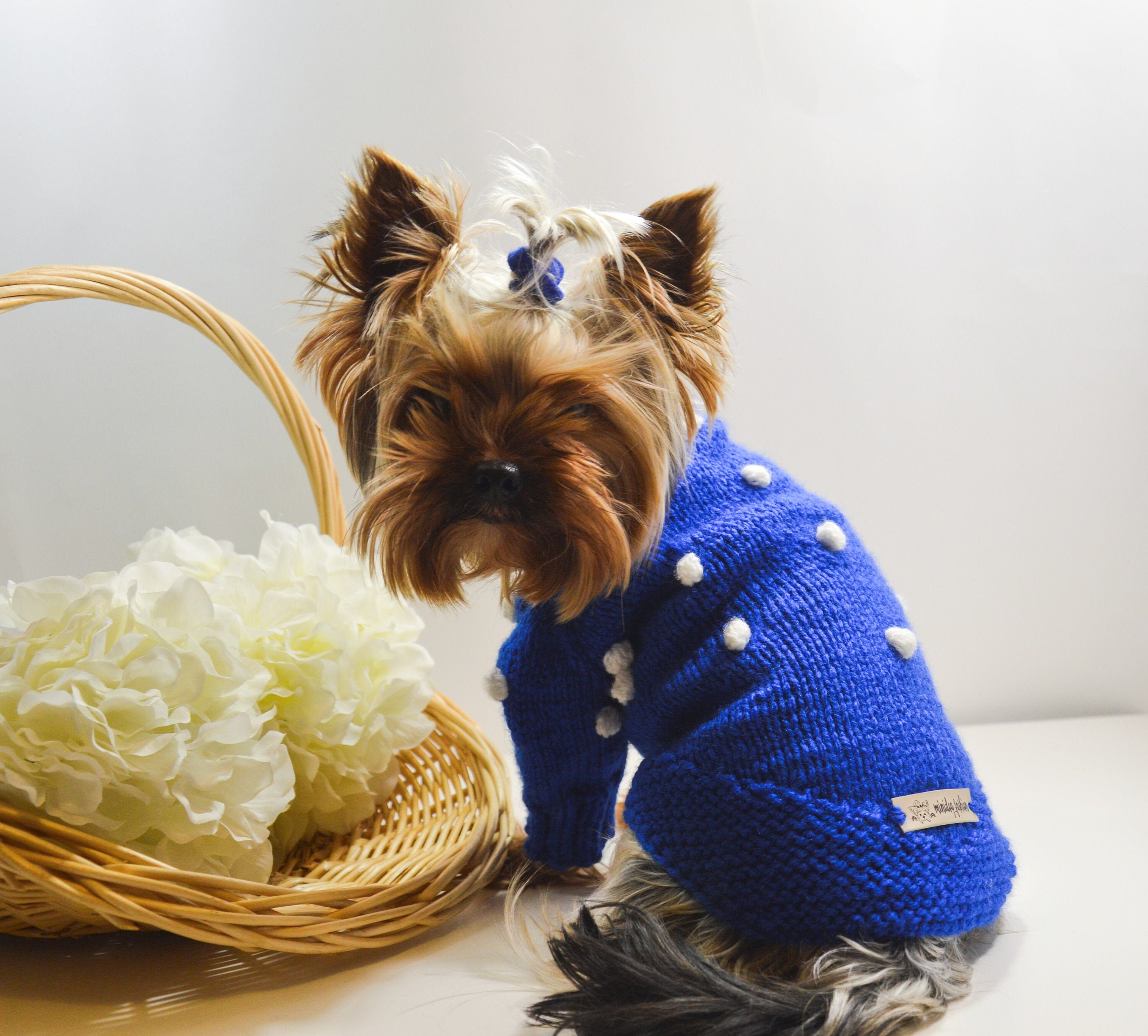 Xs dog coat / XS dog sweater / Puppy sweater for small dog / Etsy