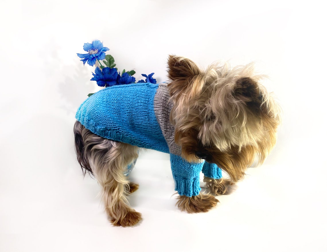 Dog sweater xxs dog clothes boy / XS dog sweater / Chihuahua Etsy