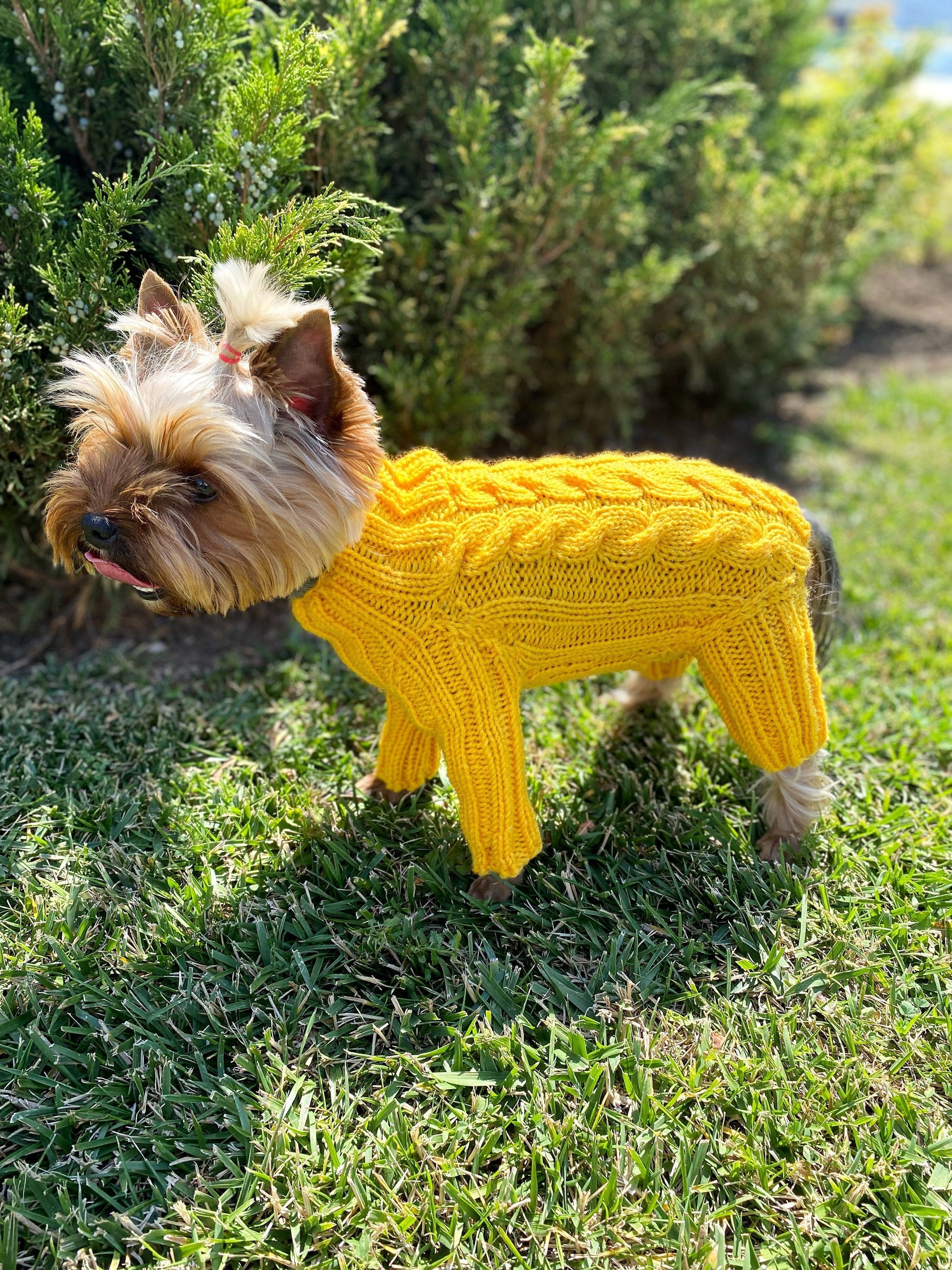 Dog boy clothes yorkie clothes / XXS dog clothes / Dog Etsy