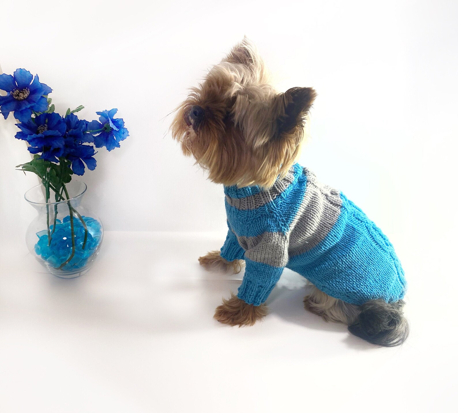 Dog sweater xxs dog clothes boy / XS dog sweater / Chihuahua Etsy
