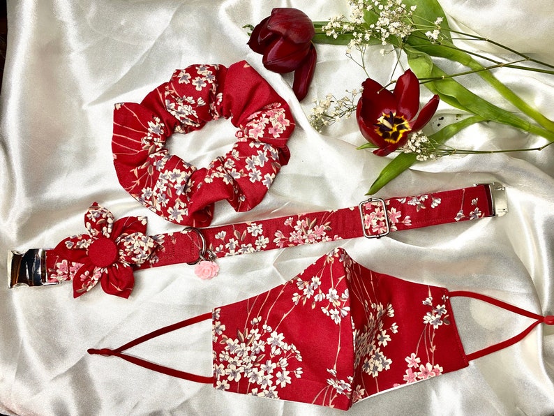 Red floral cotton print Dog collar set. Collar flower Limited edition Dog pendant Dog collar with pendant and handmade removable flower