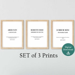 Set of 3 A4 Memento Mori Prints, Stoicism Wall Print, Stoic Digital Download, Stoicism Gift, Stoic Art, Marcus Aurelius Quote