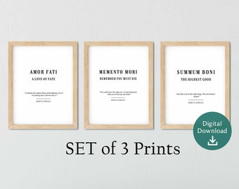 Set of 3 A4 Memento Mori Prints, Stoicism Wall Print, Stoic Digital Download, Stoicism Gift, Stoic Art, Marcus Aurelius Quote