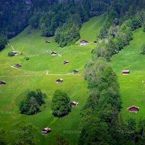 Digital Download Wall Art Photography. Swiss farm houses on green mountainside. Lauterbrunnen village. Swiss Alps Jungfrau Region. You print