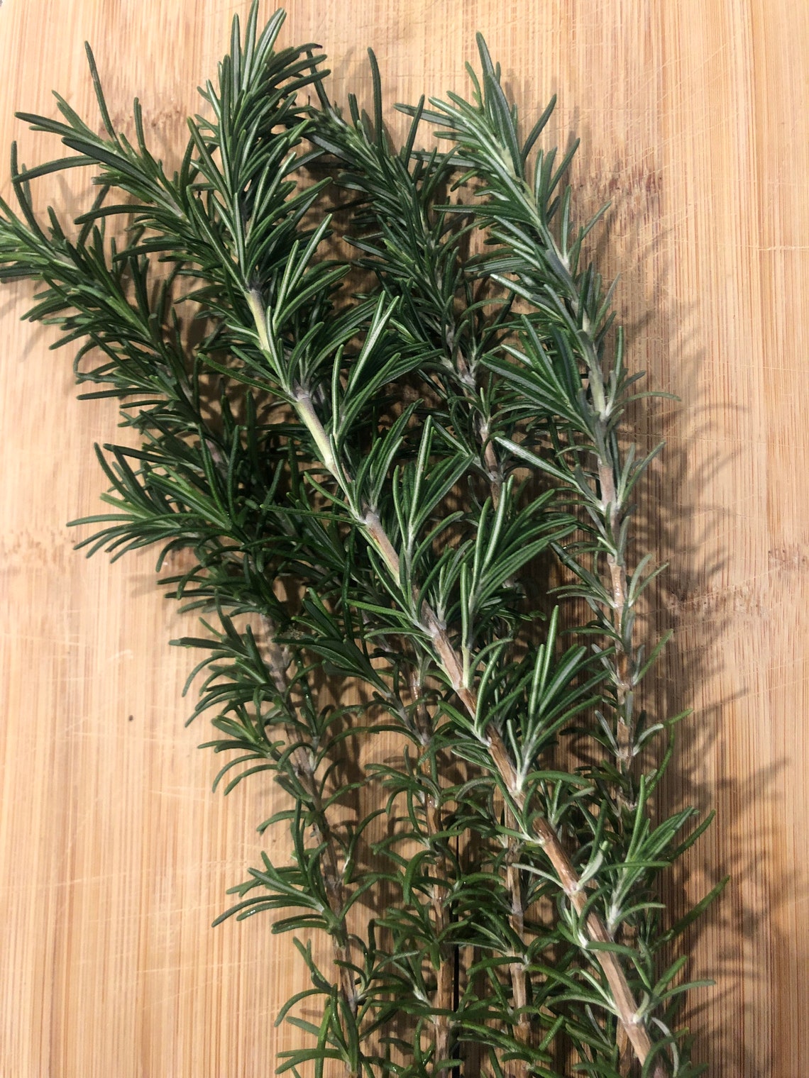 Organic Whole dried Rosemary Sprig Etsy