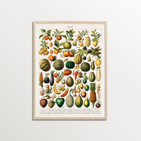 Vintage Fruit Print, Adolphe Millot Poster, Kitchen Wall Art, Cottagecore Decor