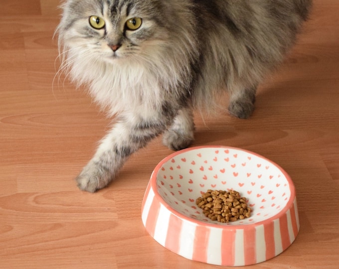 Customizable Ceramic Pet Bowl | Double-sided Use,  Custom Name and Design, Handmade, Pottery