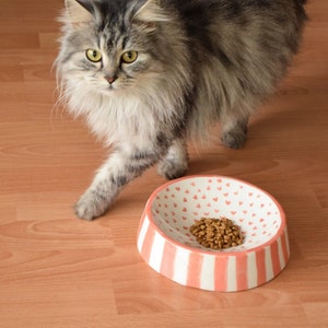 Customizable Ceramic Pet Bowl | Double-sided Use,  Custom Name and Design, Handmade, Pottery
