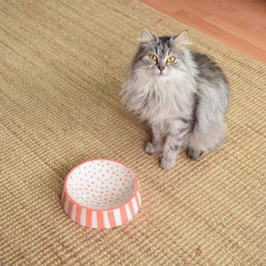 May include: A gray and white cat sits on a beige rug looking at the camera. A pink and white ceramic pet bowl with a heart pattern is on the rug in front of the cat.