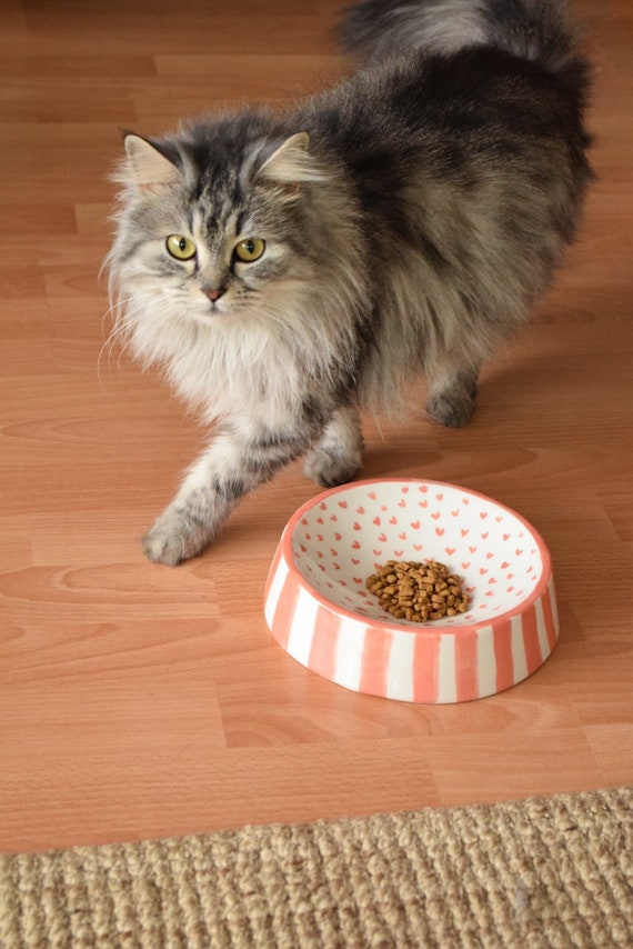 Customizable Ceramic Pet Bowl | Double-sided Use,  Custom Name and Design, Handmade, Pottery