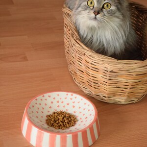 May include: A gray and white cat sits in a wicker basket. A pink and white ceramic bowl with a heart pattern and brown cat food is on the floor.