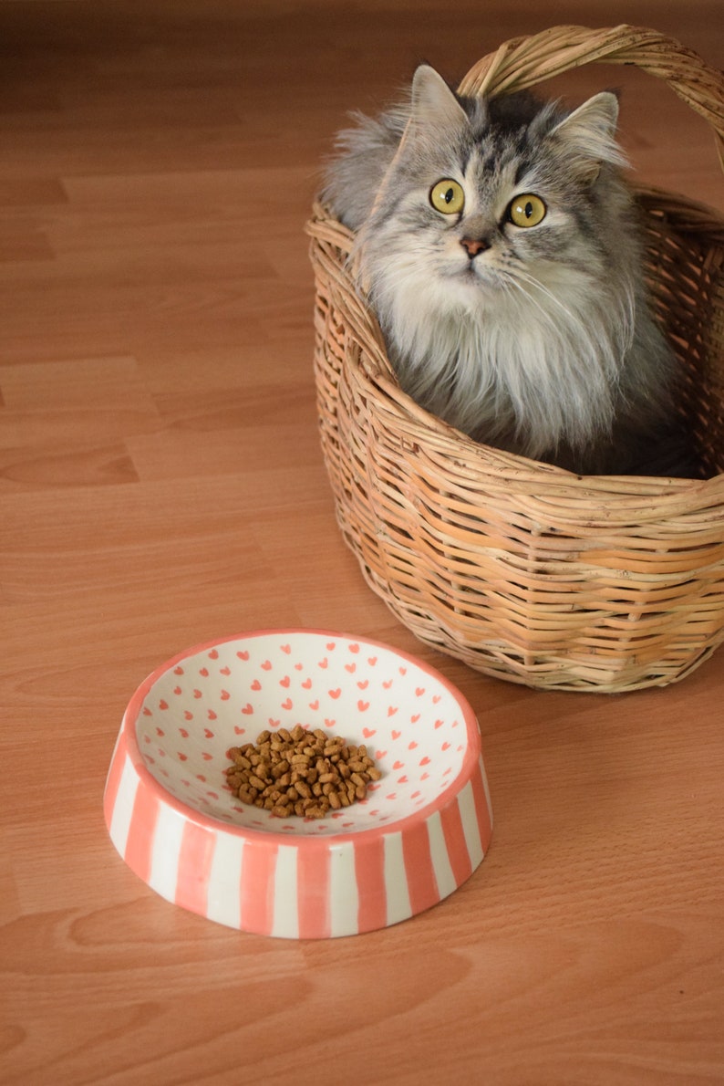 May include: A gray and white cat sits in a wicker basket. A pink and white ceramic bowl with a heart pattern and brown cat food is on the floor.