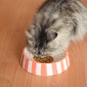 May include: A gray and white cat eating dry cat food from a pink and white striped ceramic bowl with a heart pattern.