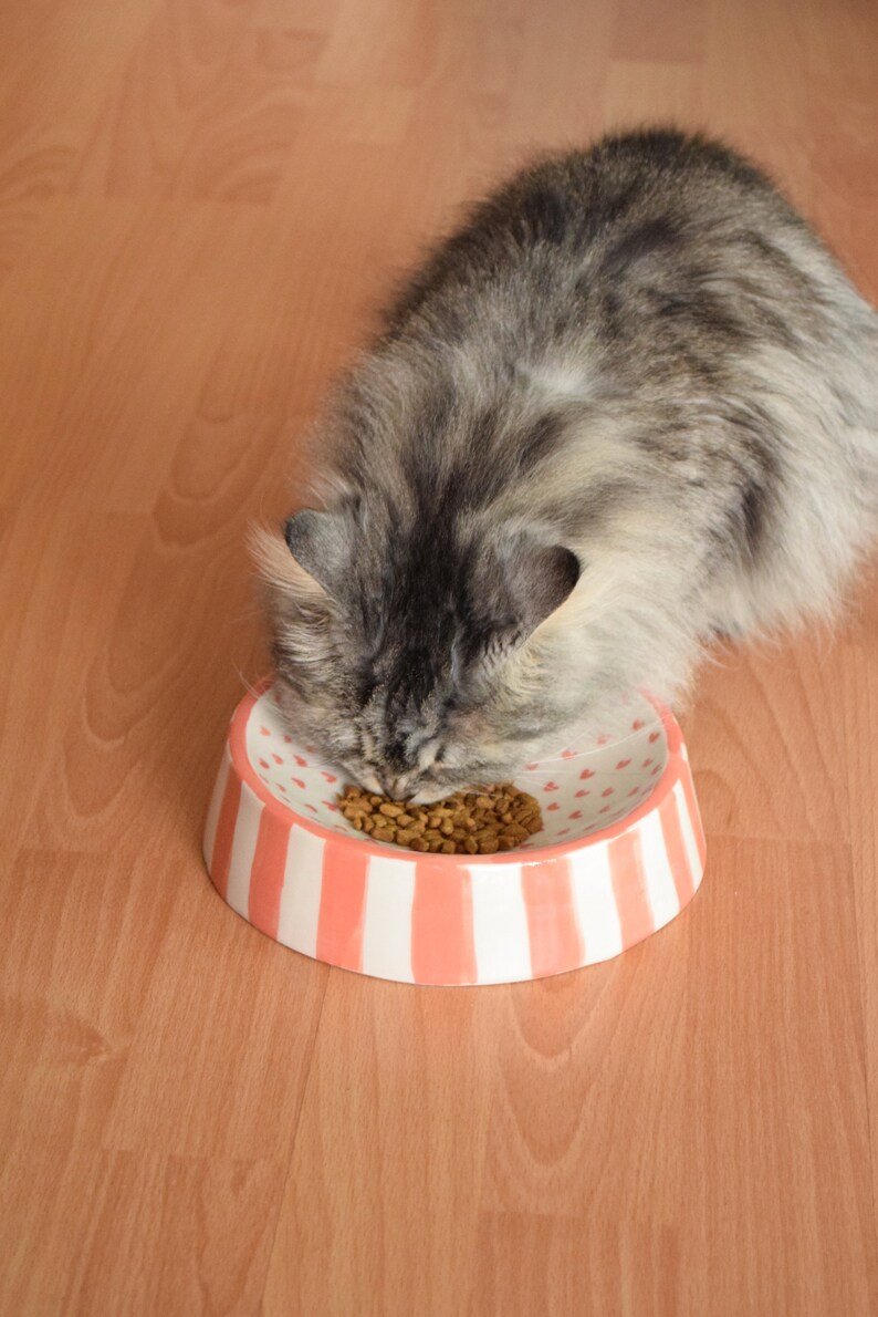 May include: A gray and white cat eating dry cat food from a pink and white striped ceramic bowl with a heart pattern.