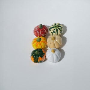 May include: Six miniature ceramic pumpkins in various colors and patterns, including green, white, yellow, orange, and red. The pumpkins are arranged in a row on a white surface.