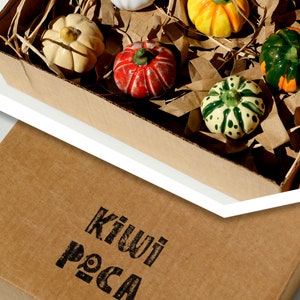 May include: A cardboard box with the words "Kiwi Paca" printed on the front. The box is filled with small ceramic pumpkins in various colors, including white, yellow, red, green, and orange.