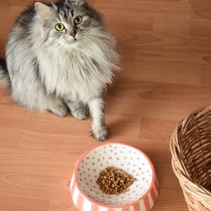 May include: A fluffy gray cat looking at a pink and white ceramic bowl with brown cat food. The bowl has a heart pattern and is sitting on a wooden floor.