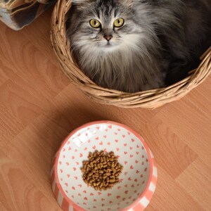 May include: A gray and white cat sits in a wicker basket. A pink and white bowl with brown cat food is on a wooden floor.