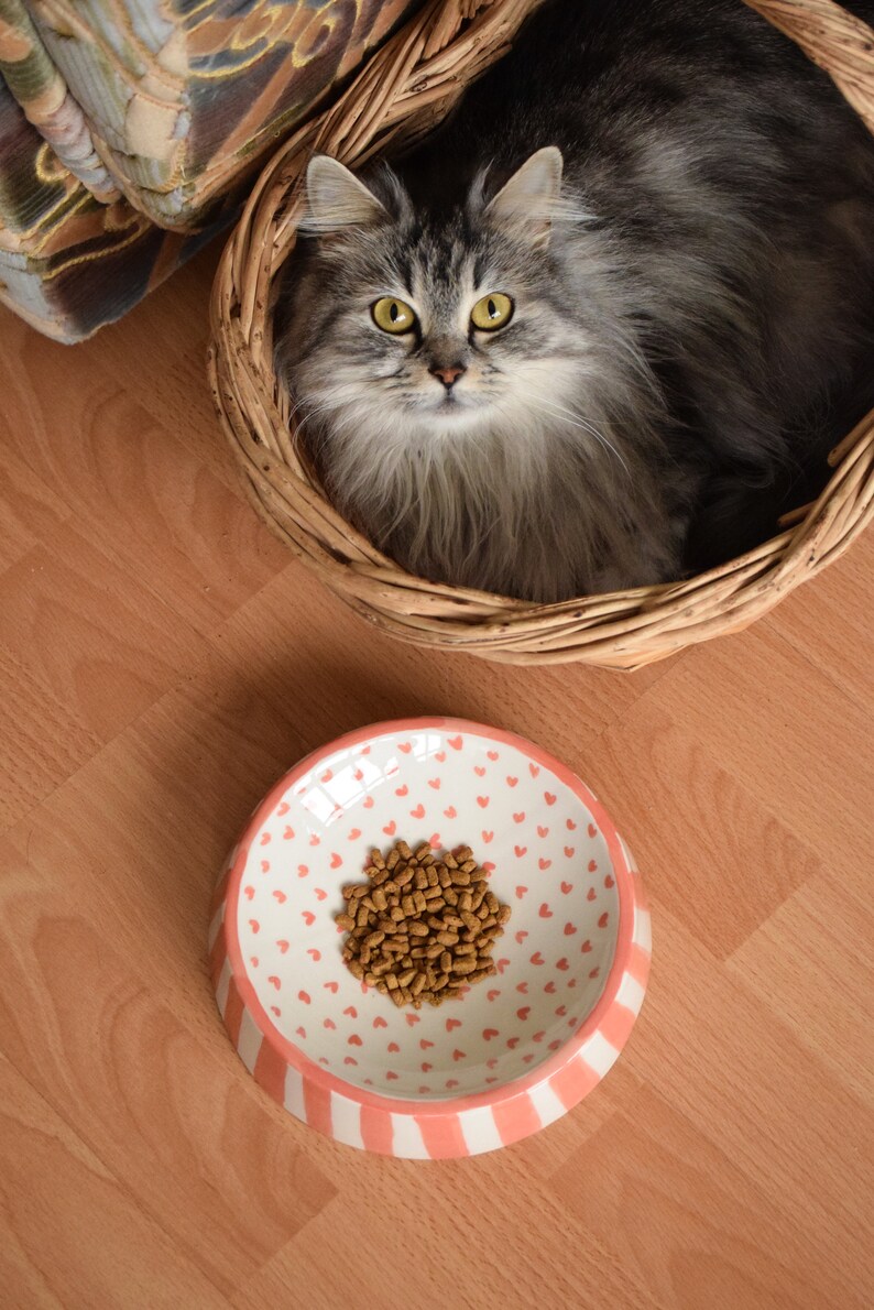May include: A gray and white cat sits in a wicker basket. A pink and white bowl with brown cat food is on a wooden floor.
