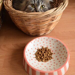 May include: A gray and white cat peeks out of a wicker basket. A pink and white ceramic bowl with a heart pattern contains brown cat food.