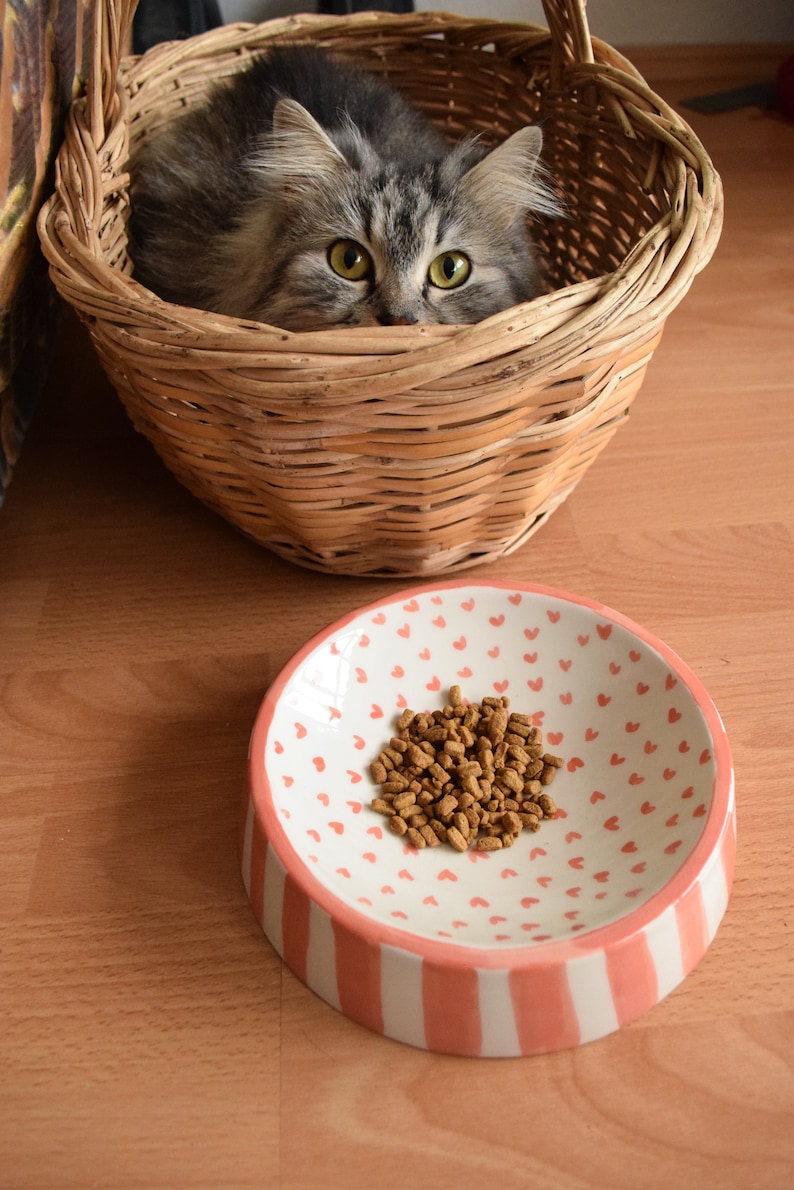 May include: A gray and white cat peeks out of a wicker basket. A pink and white ceramic bowl with a heart pattern contains brown cat food.