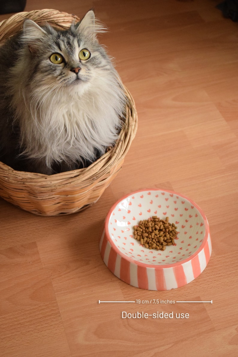 May include: A pink and white ceramic pet bowl with a heart pattern and white stripes. The bowl is 7.5 inches in diameter and is shown with a small amount of brown pet food inside. The text "Double-sided use" is printed below the bowl.