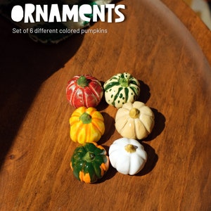 May include: Set of six Halloween pumpkin ornaments in various colors, including red, green, white, yellow, and orange. The pumpkins are on a wooden surface. "Halloween Pumpkin Ornaments" and "Set of 6 different colored pumpkins" are written in white text on the image.