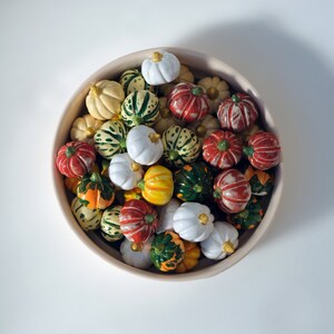 May include: A white bowl filled with a variety of small, colorful gourds. The gourds are painted in shades of green, red, white, and yellow.